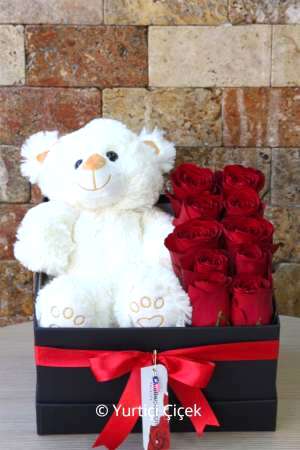 Kutuda 10 Gül ve Ayıcık