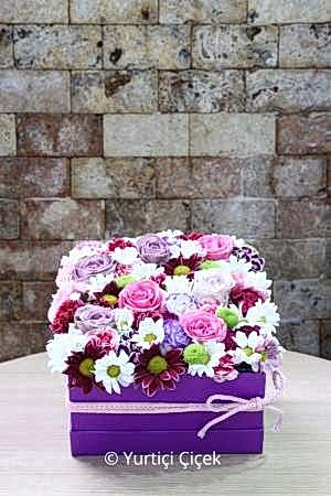 Kutu Dolusu Sürpriz