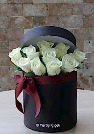 Kutu Güller Serisi 8