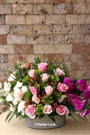 Özel Tasarım Aranjman Serisi 7