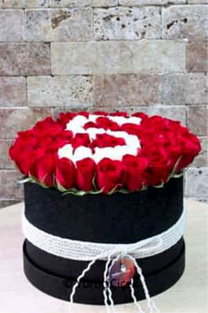 Kutuda Harf Serisi 3