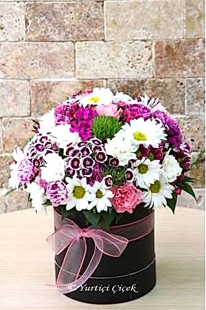 Kutu Kır Çiçekleri