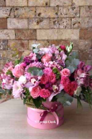 Pembe Kutuda Aranjman