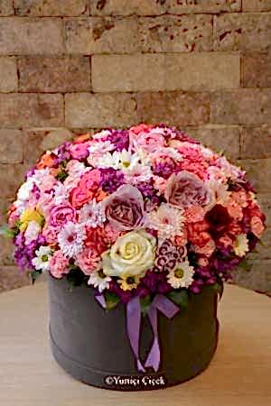 Kutuda Özel Tasarım Serisi 1