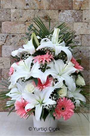 Lilyum Aranjman Serisi 1