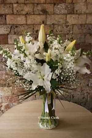 Vazoda Lilyum Serisi 3