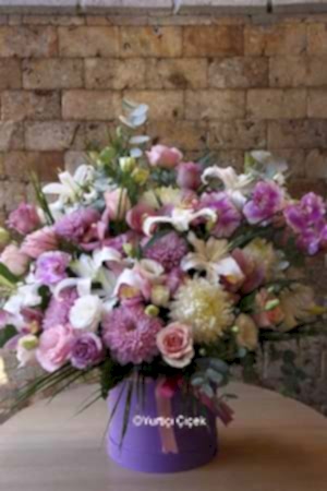 Büyük Kutu Serisi 7