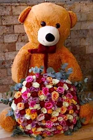 Ayıcık ve Renkli Güller