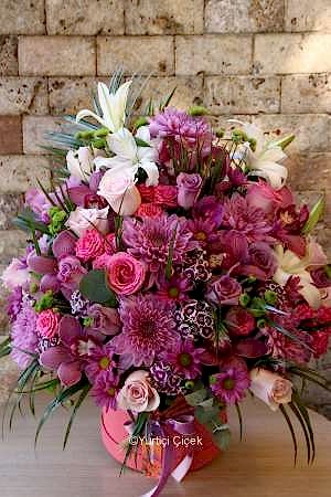 Büyük Kutu Serisi 3