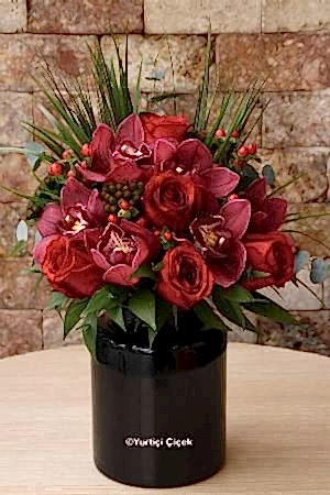 Canım Sevgilim Serisi 6