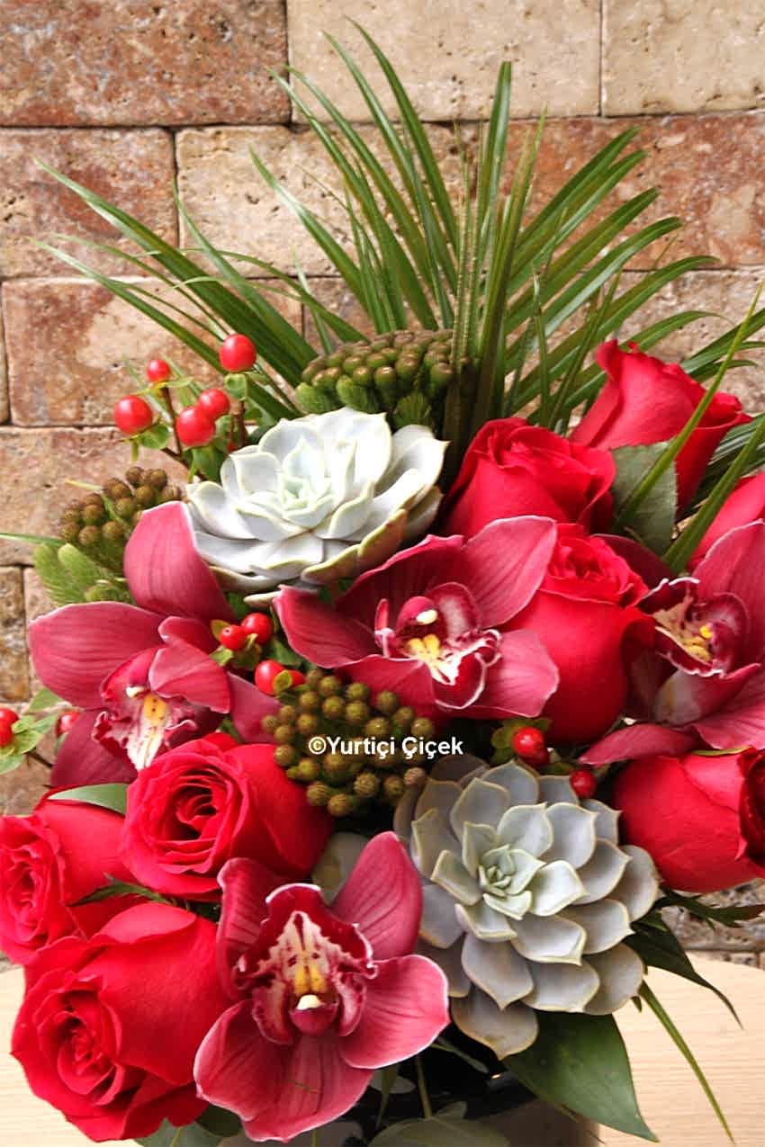 Canım Sevgilim Serisi 10