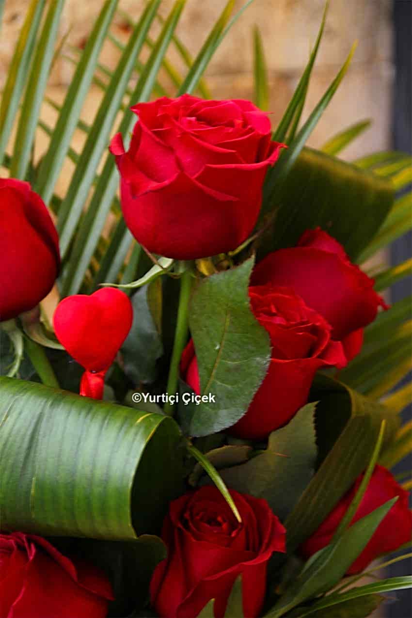 Canım Sevgilim Serisi 24