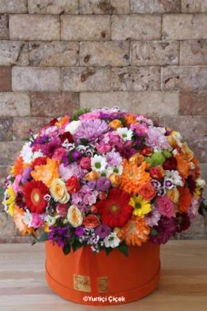 Kutuda Özel Tasarım Serisi 2