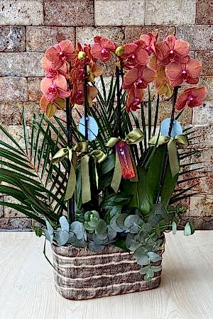 Canım Sevgilim Serisi 32